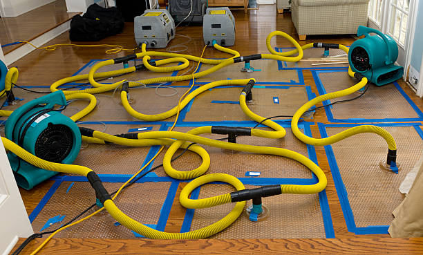 Professional Crawl Space Water Removal technician working in Hyattsville, MD